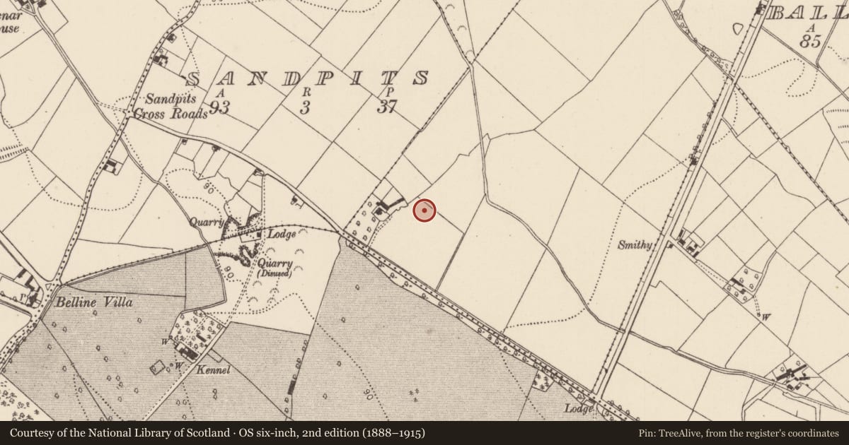 Ordnance Survey six-inch map, 2nd edition (1888–1915) covering the location of Standing stone, Tinnakilly, County Kilkenny, with a pin at the register's coordinates