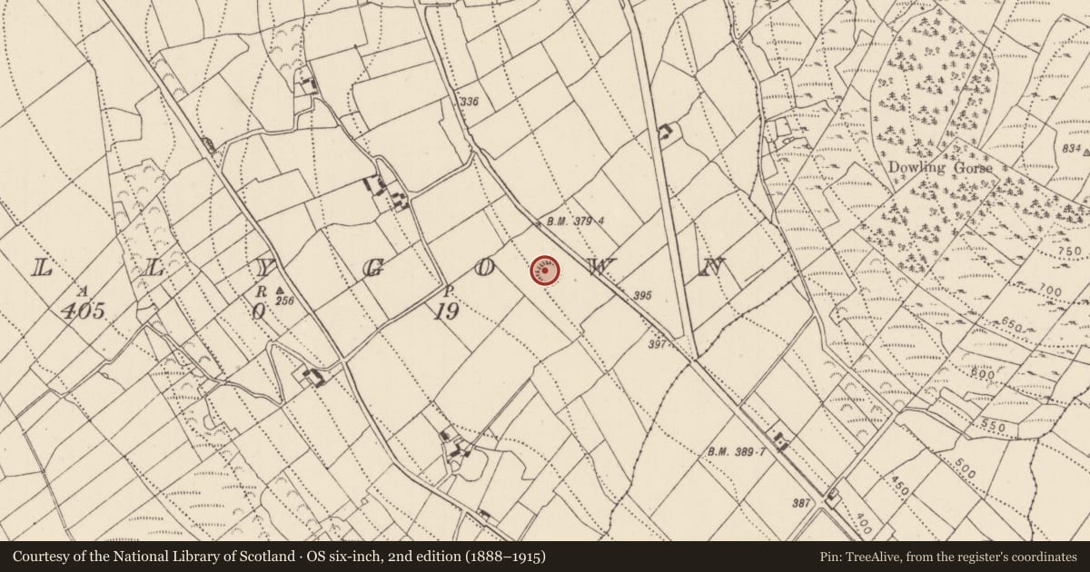 Ordnance Survey six-inch map, 2nd edition (1888–1915) covering the location of Ringfort - unclassified, Ballygown, County Kilkenny, with a pin at the register's coordinates