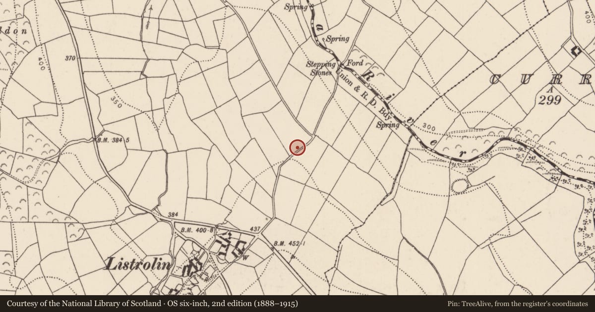 Ordnance Survey six-inch map, 2nd edition (1888–1915) covering the location of Church, Listrolin, County Kilkenny, with a pin at the register's coordinates
