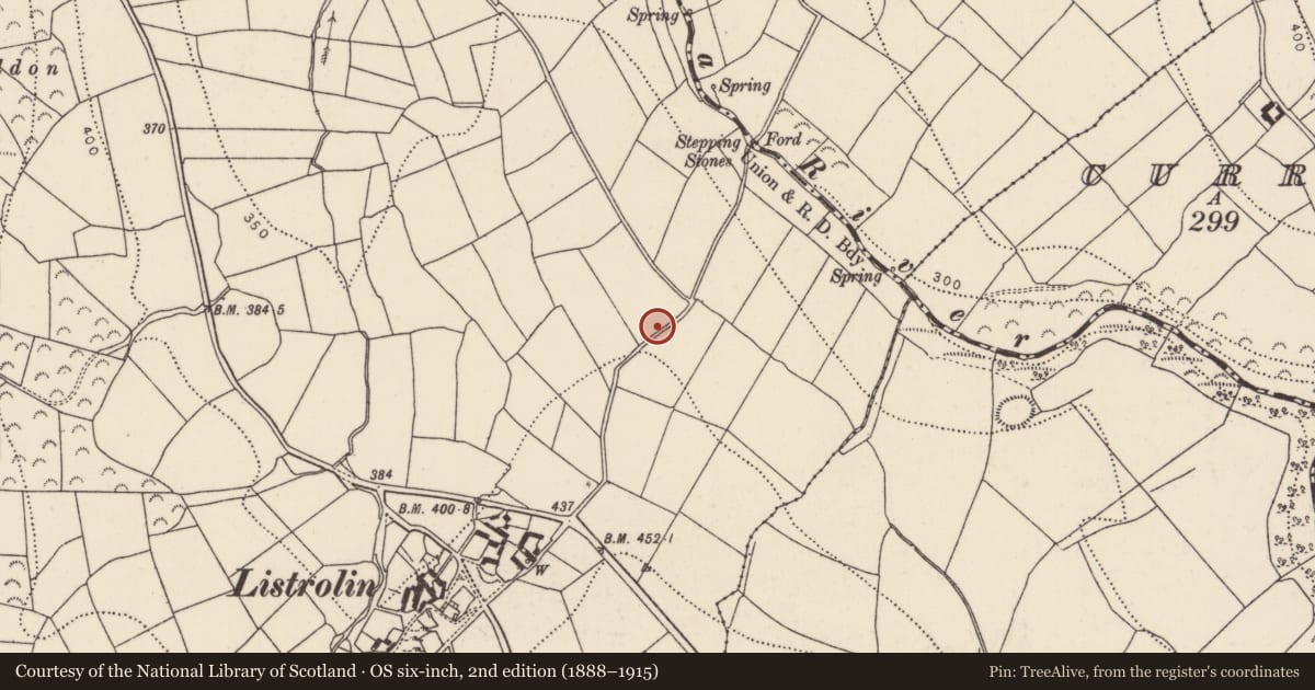 Ordnance Survey six-inch map, 2nd edition (1888–1915) covering the location of Graveyard, Listrolin, County Kilkenny, with a pin at the register's coordinates