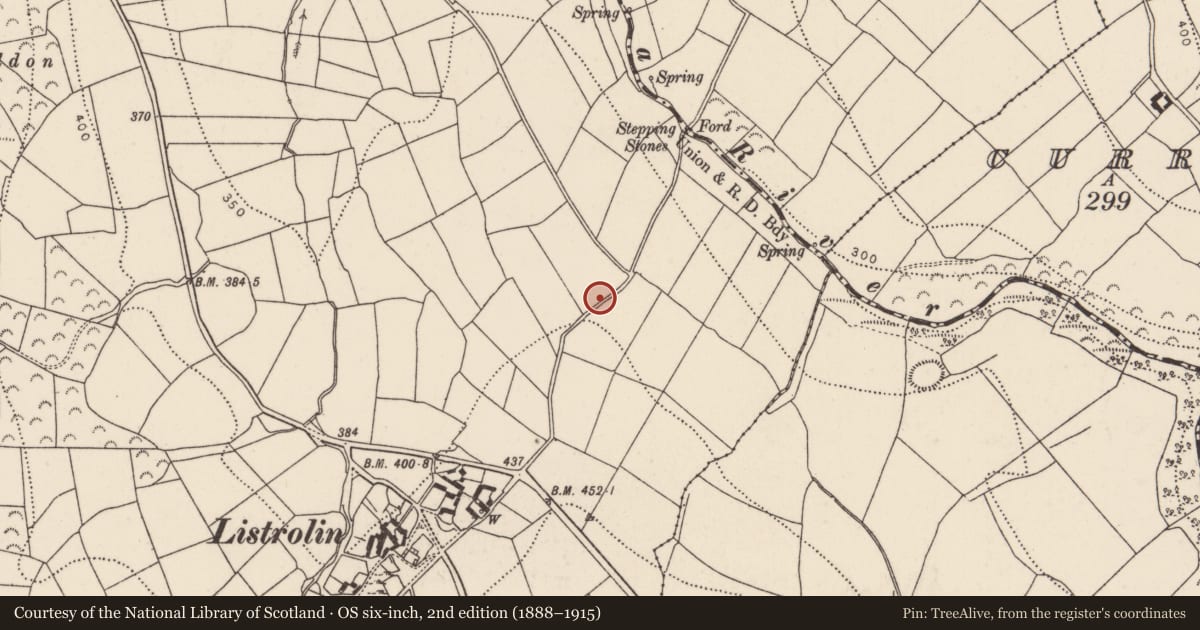 Ordnance Survey six-inch map, 2nd edition (1888–1915) covering the location of Standing stone, Listrolin, County Kilkenny, with a pin at the register's coordinates