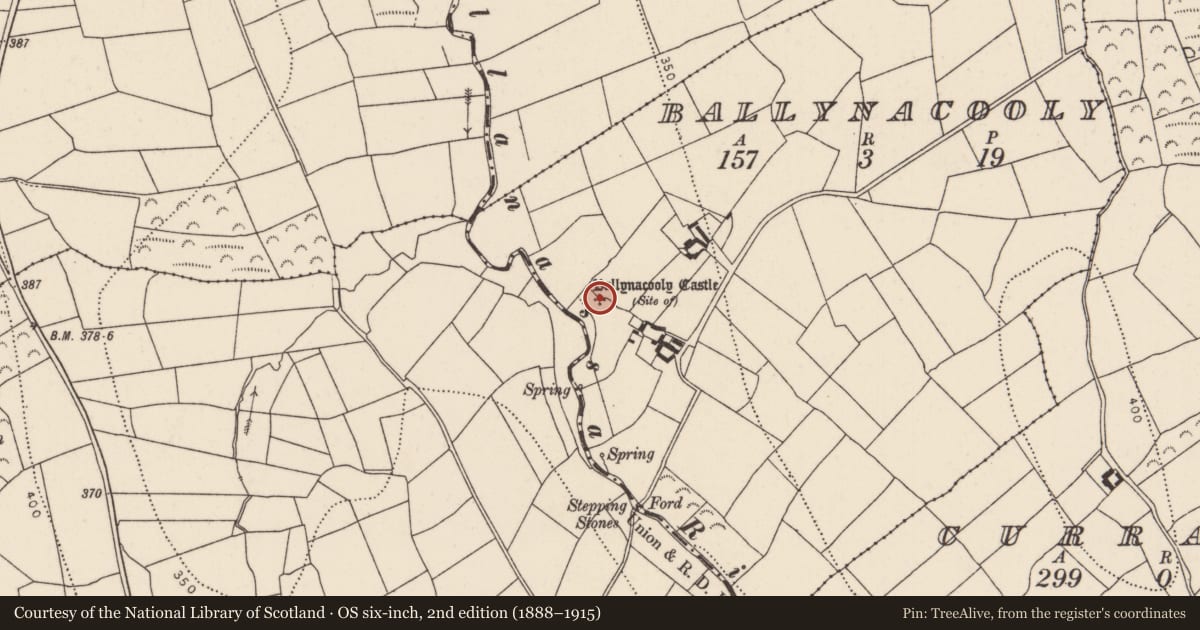 Ordnance Survey six-inch map, 2nd edition (1888–1915) covering the location of Castle - unclassified, Ballynacooly, County Kilkenny, with a pin at the register's coordinates