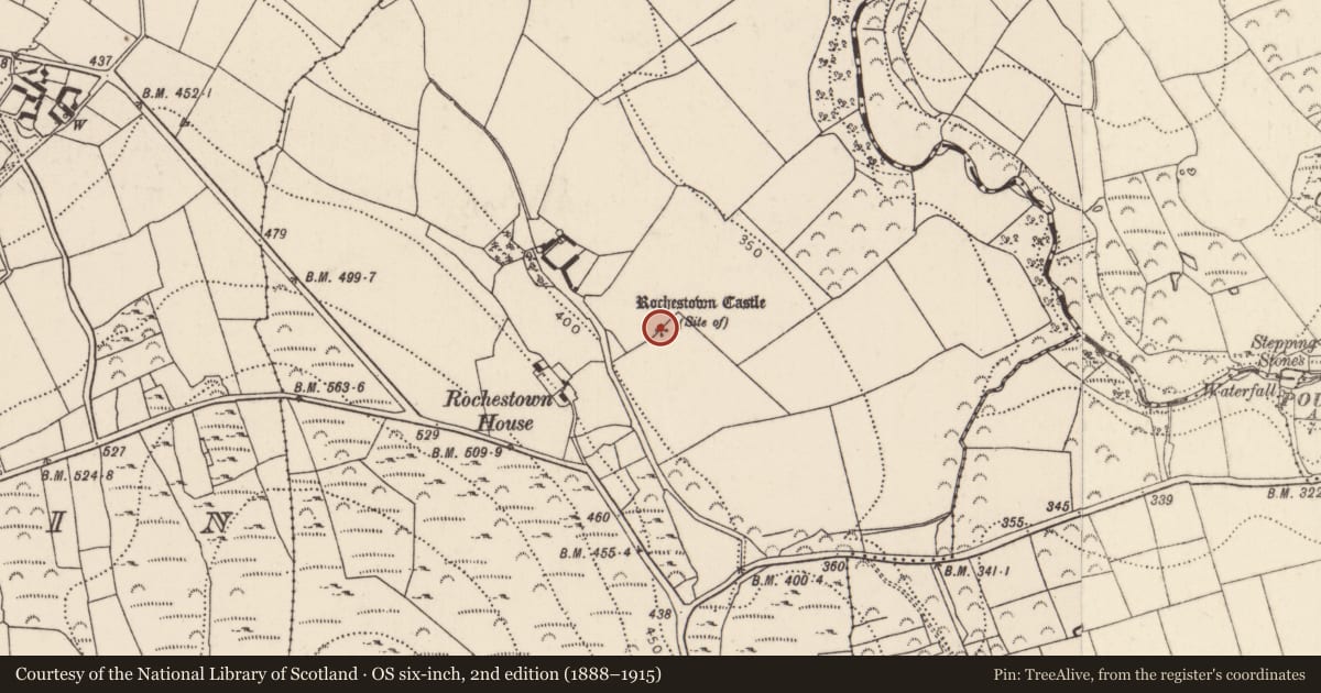Ordnance Survey six-inch map, 2nd edition (1888–1915) covering the location of Castle - unclassified, Rochestown, County Kilkenny, with a pin at the register's coordinates