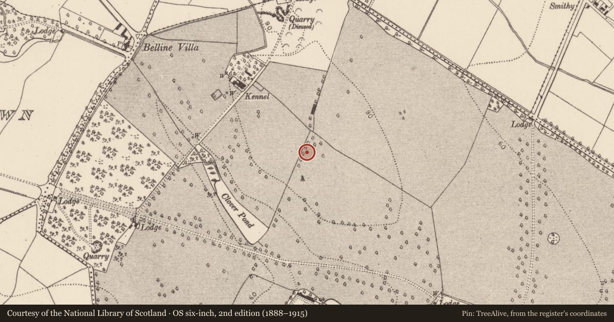 Ordnance Survey six-inch map, 2nd edition (1888–1915) covering the location of Ringfort - unclassified, Kildalton, County Kilkenny, with a pin at the register's coordinates