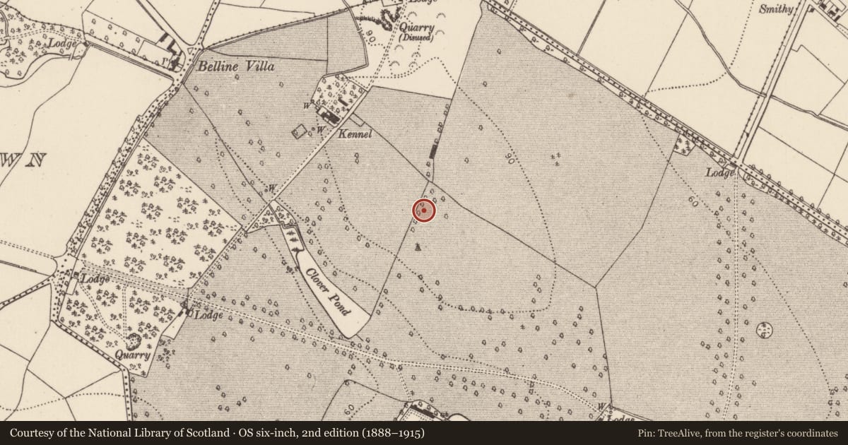 Ordnance Survey six-inch map, 2nd edition (1888–1915) covering the location of Hut site, Kildalton, County Kilkenny, with a pin at the register's coordinates