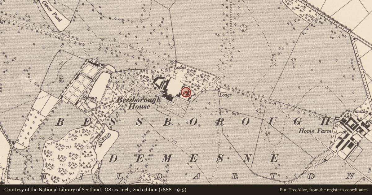 Ordnance Survey six-inch map, 2nd edition (1888–1915) covering the location of Graveyard, Kildalton, County Kilkenny, with a pin at the register's coordinates