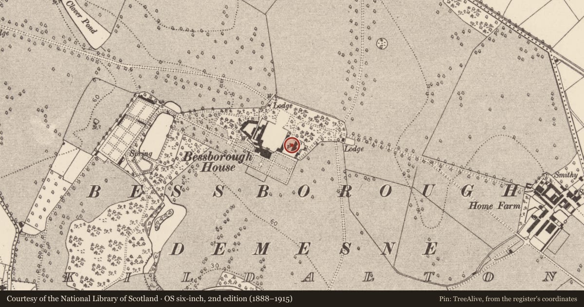 Ordnance Survey six-inch map, 2nd edition (1888–1915) covering the location of Graveslab, Kildalton, County Kilkenny, with a pin at the register's coordinates