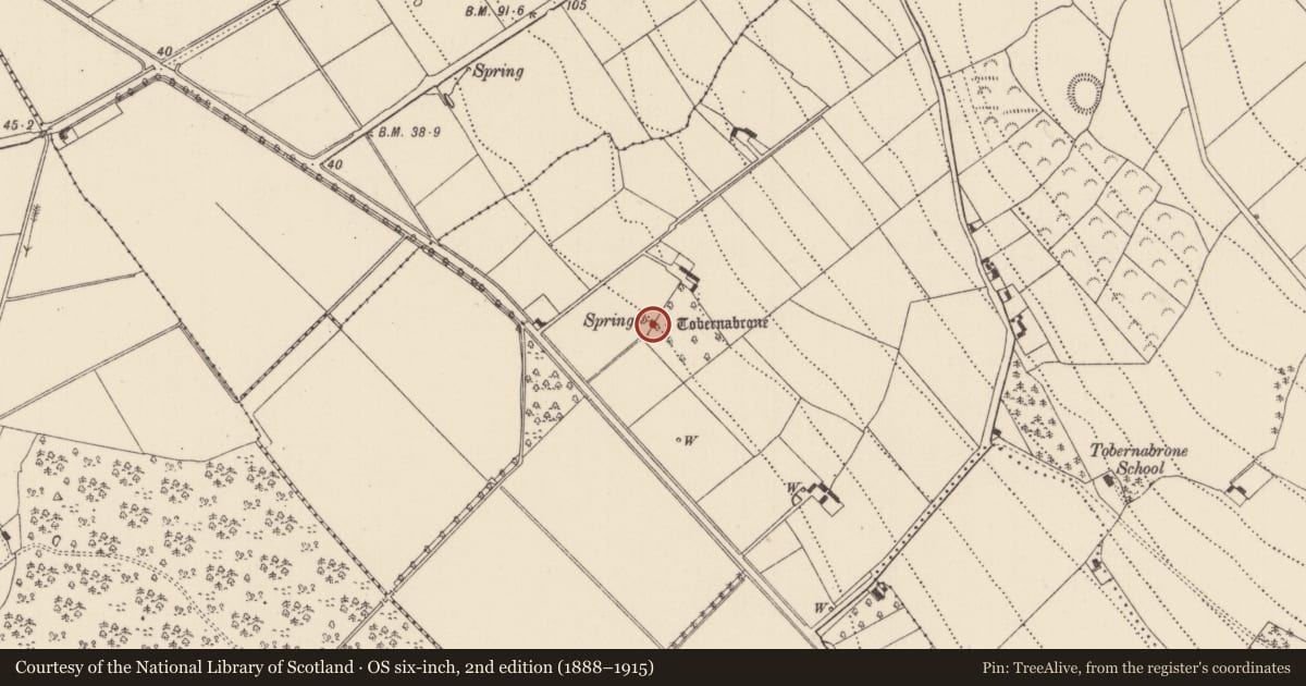 Ordnance Survey six-inch map, 2nd edition (1888–1915) covering the location of Ritual site - holy well, Tobernabrone, County Kilkenny, with a pin at the register's coordinates