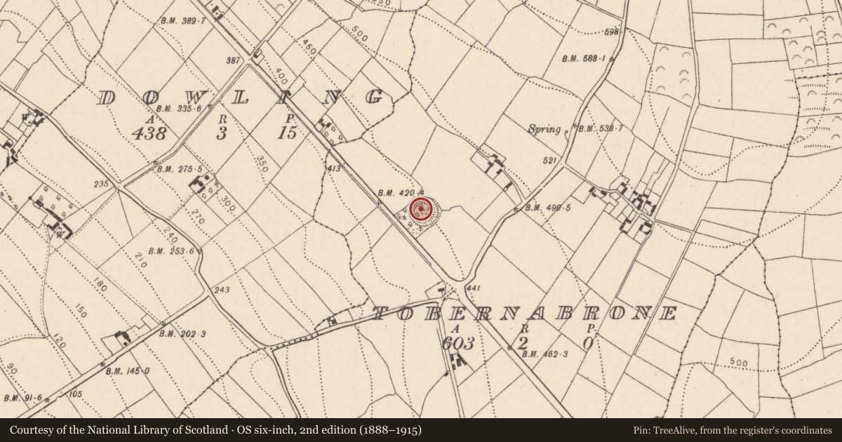 Ordnance Survey six-inch map, 2nd edition (1888–1915) covering the location of Ringfort - rath, Tobernabrone, County Kilkenny, with a pin at the register's coordinates
