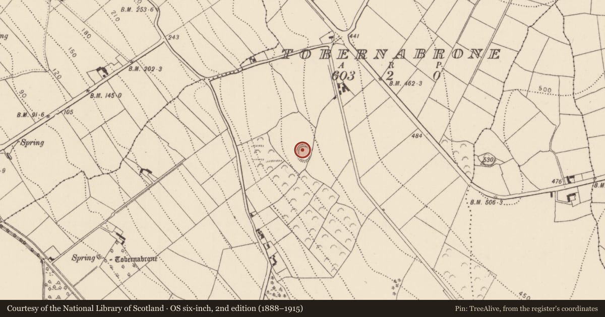 Ordnance Survey six-inch map, 2nd edition (1888–1915) covering the location of Ringfort - rath, Tobernabrone, County Kilkenny, with a pin at the register's coordinates
