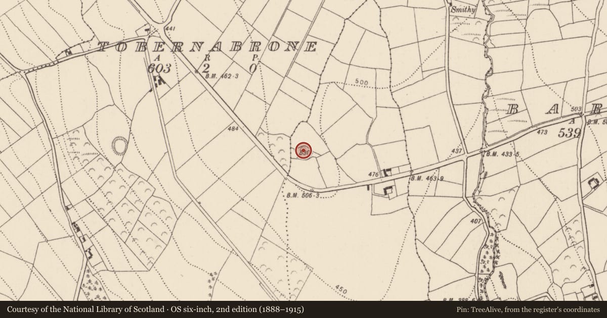 Ordnance Survey six-inch map, 2nd edition (1888–1915) covering the location of Ringfort - rath, Cashel, County Kilkenny, with a pin at the register's coordinates