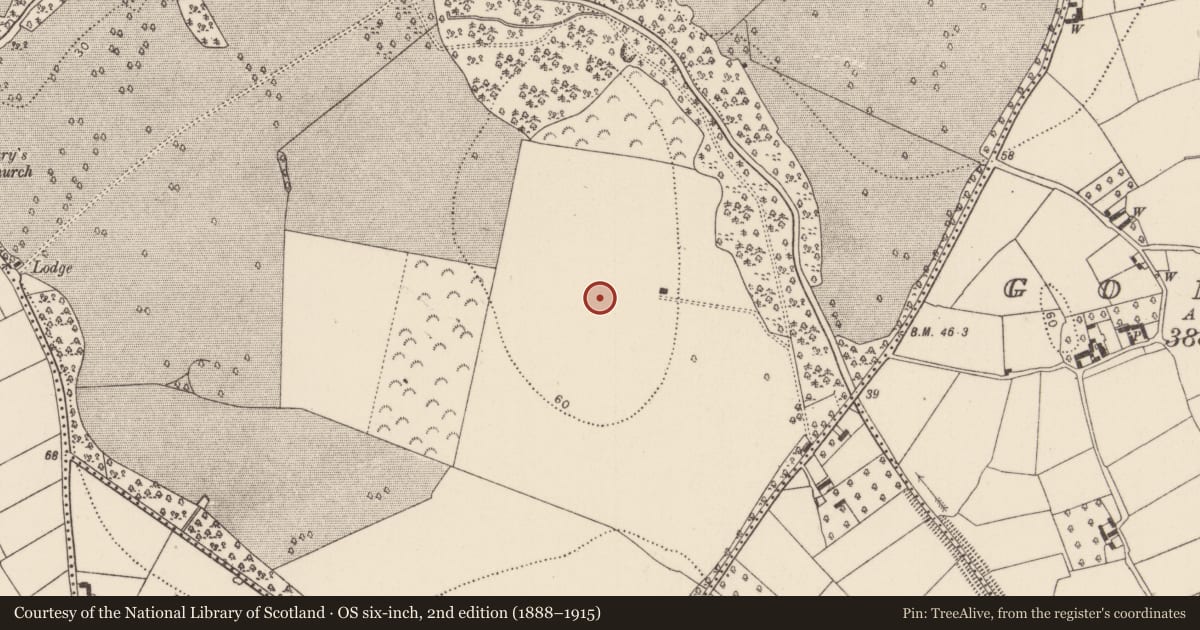 Ordnance Survey six-inch map, 2nd edition (1888–1915) covering the location of Souterrain, Kildalton, County Kilkenny, with a pin at the register's coordinates