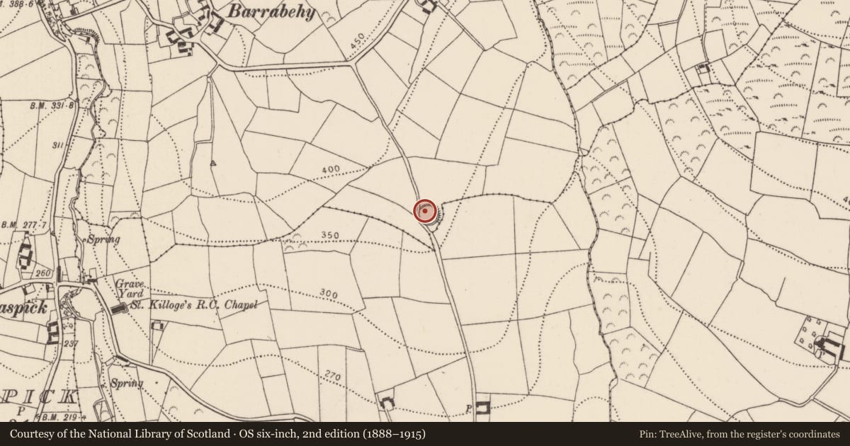 Ordnance Survey six-inch map, 2nd edition (1888–1915) covering the location of Ringfort - rath, Barrabehy, County Kilkenny, with a pin at the register's coordinates