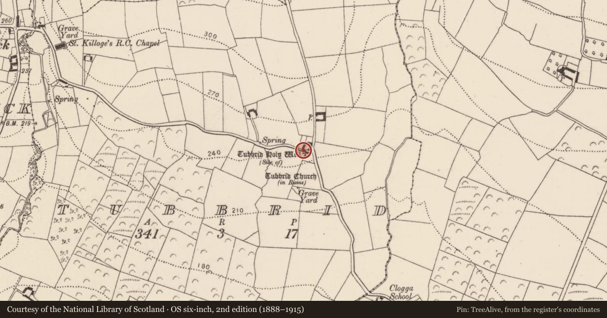 Ordnance Survey six-inch map, 2nd edition (1888–1915) covering the location of Ritual site - holy well, Tubbrid, County Kilkenny, with a pin at the register's coordinates