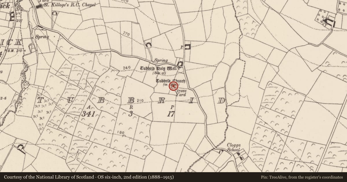 Ordnance Survey six-inch map, 2nd edition (1888–1915) covering the location of Church, Tubbrid, County Kilkenny, with a pin at the register's coordinates