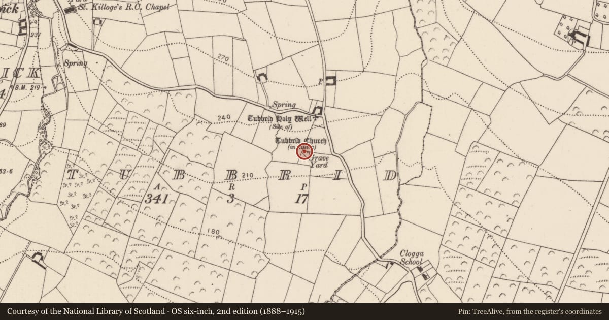Ordnance Survey six-inch map, 2nd edition (1888–1915) covering the location of Graveyard, Tubbrid, County Kilkenny, with a pin at the register's coordinates