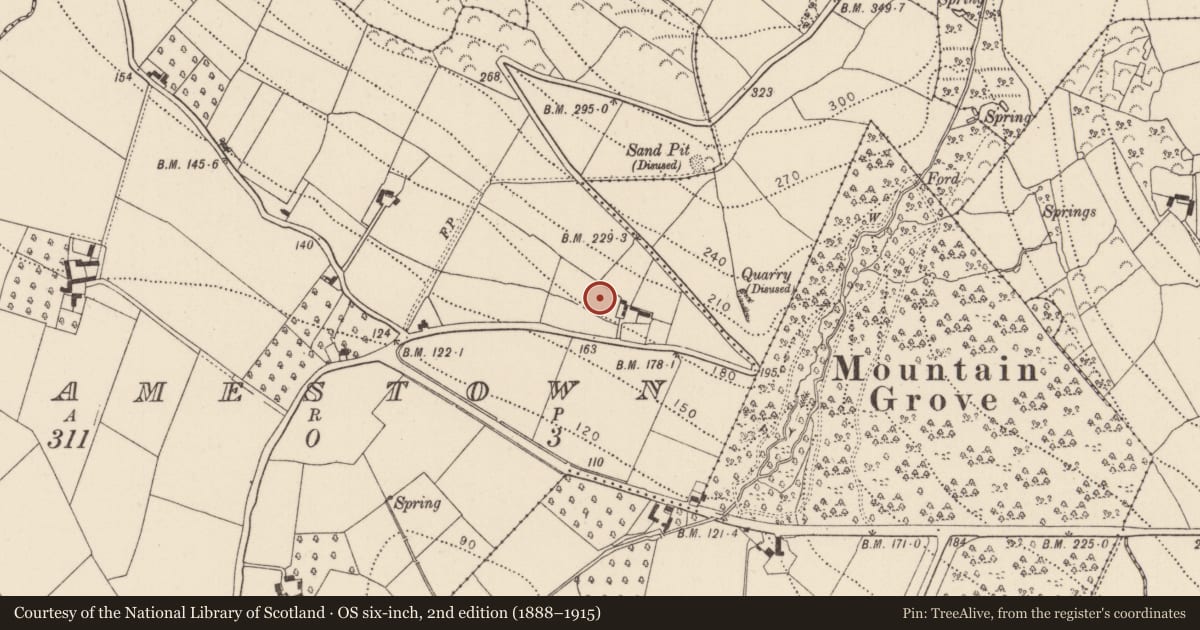 Ordnance Survey six-inch map, 2nd edition (1888–1915) covering the location of Castle - unclassified, Jamestown, County Kilkenny, with a pin at the register's coordinates