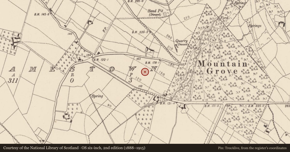 Ordnance Survey six-inch map, 2nd edition (1888–1915) covering the location of Settlement deserted - medieval, Jamestown, County Kilkenny, with a pin at the register's coordinates