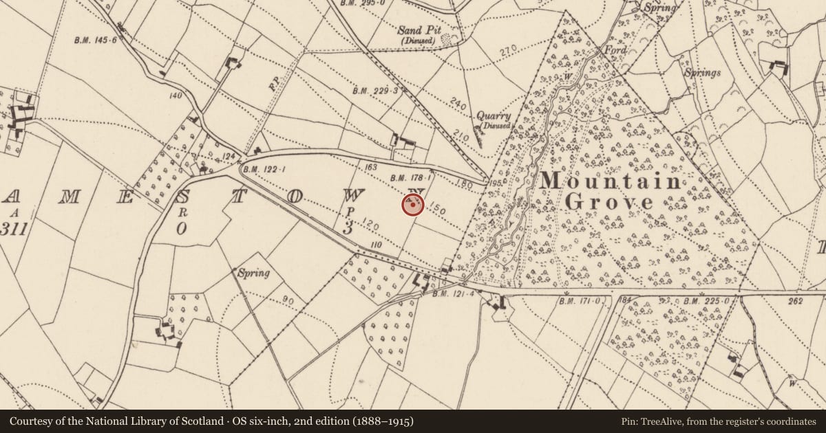 Ordnance Survey six-inch map, 2nd edition (1888–1915) covering the location of Standing stone, Jamestown, County Kilkenny, with a pin at the register's coordinates