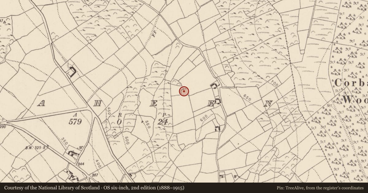 Ordnance Survey six-inch map, 2nd edition (1888–1915) covering the location of Ringfort - rath, Raheen, County Kilkenny, with a pin at the register's coordinates