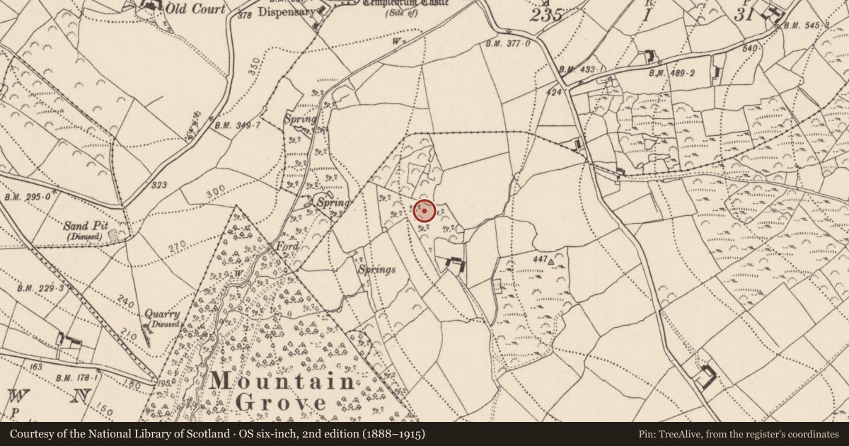 Ordnance Survey six-inch map, 2nd edition (1888–1915) covering the location of Megalithic tomb - portal tomb, Raheen, County Kilkenny, with a pin at the register's coordinates