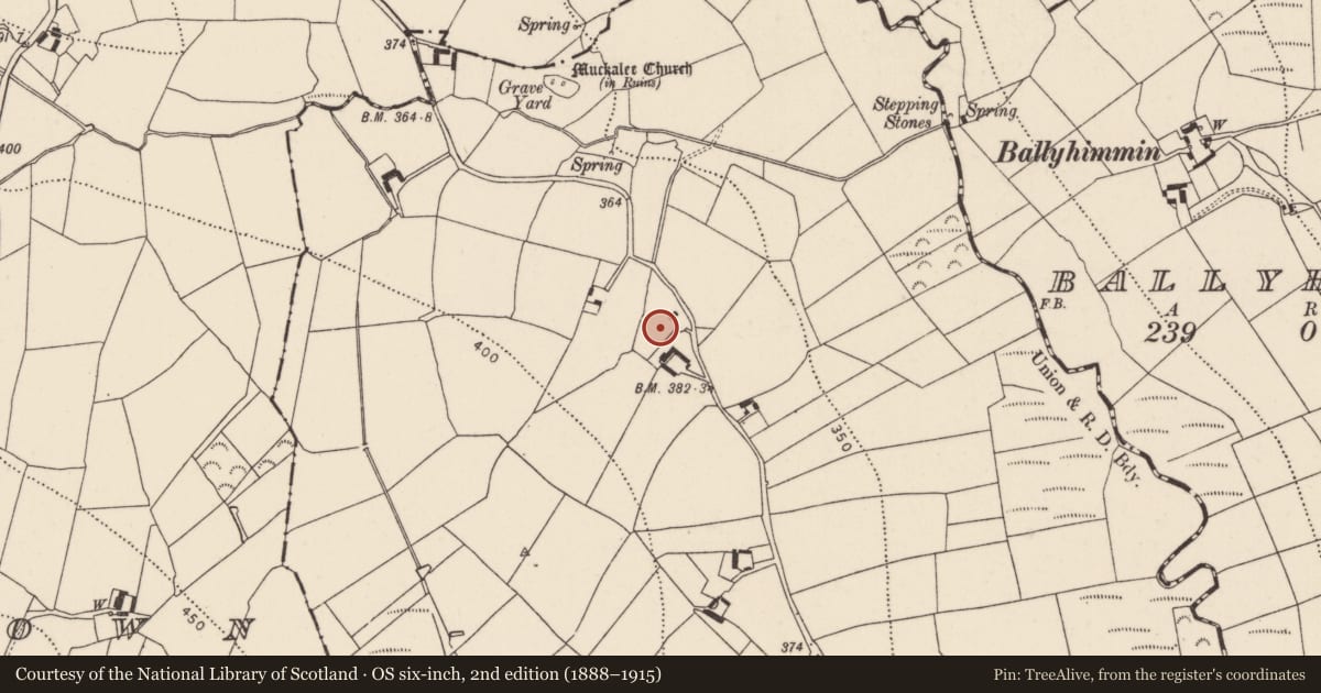 Ordnance Survey six-inch map, 2nd edition (1888–1915) covering the location of Castle - unclassified, Garrygaug, County Kilkenny, with a pin at the register's coordinates