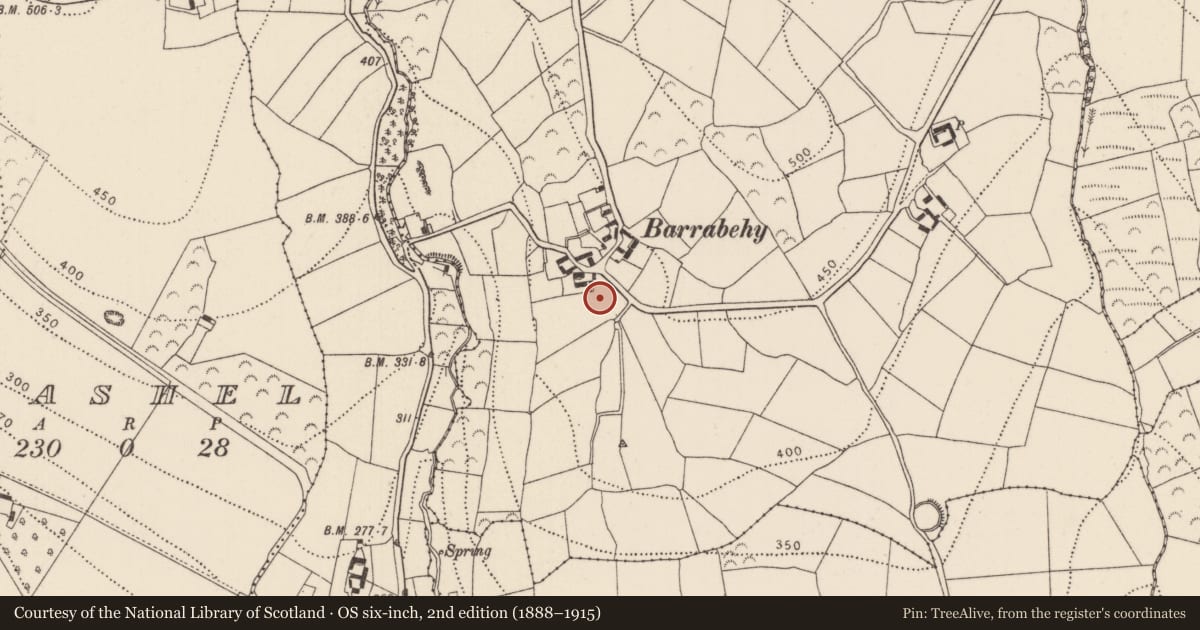Ordnance Survey six-inch map, 2nd edition (1888–1915) covering the location of Castle - unclassified, Barrabehy, County Kilkenny, with a pin at the register's coordinates