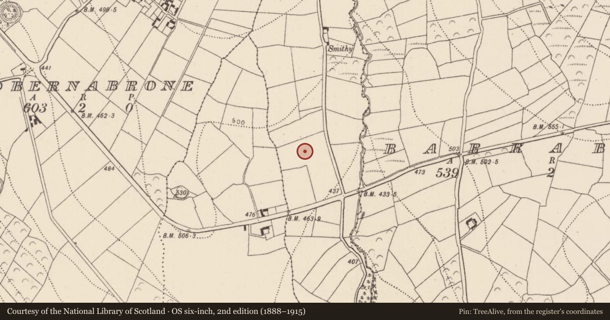 Ordnance Survey six-inch map, 2nd edition (1888–1915) covering the location of Souterrain, Killinaspick, County Kilkenny, with a pin at the register's coordinates