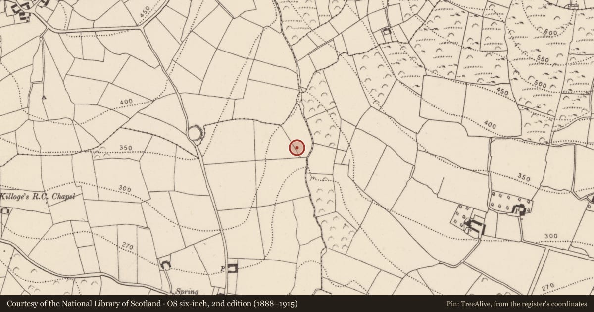 Ordnance Survey six-inch map, 2nd edition (1888–1915) covering the location of Megalithic tomb - portal tomb, Tubbrid, County Kilkenny, with a pin at the register's coordinates