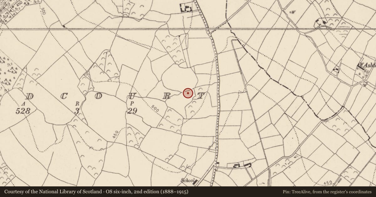 Ordnance Survey six-inch map, 2nd edition (1888–1915) covering the location of Enclosure, Oldcourt, County Kilkenny, with a pin at the register's coordinates
