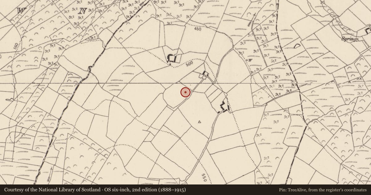 Ordnance Survey six-inch map, 2nd edition (1888–1915) covering the location of Ringfort - rath, Corbally, County Kilkenny, with a pin at the register's coordinates
