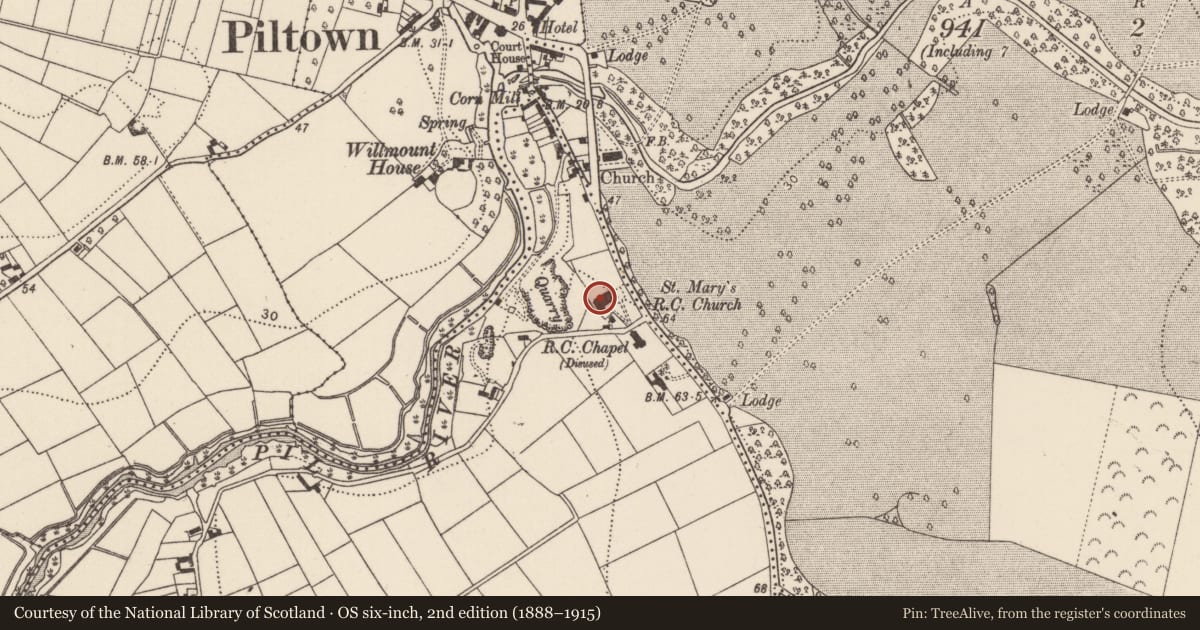 Ordnance Survey six-inch map, 2nd edition (1888–1915) covering the location of Tomb - chest tomb, Ardclone, County Kilkenny, with a pin at the register's coordinates