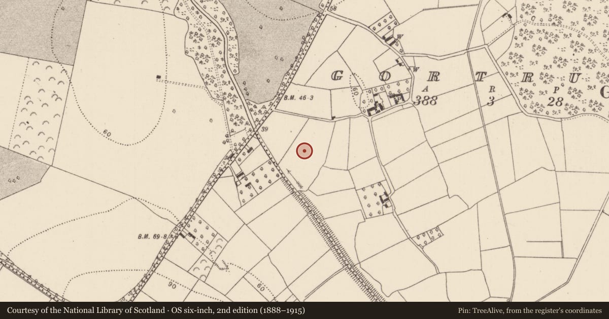Ordnance Survey six-inch map, 2nd edition (1888–1915) covering the location of Enclosure, Gortrush, County Kilkenny, with a pin at the register's coordinates