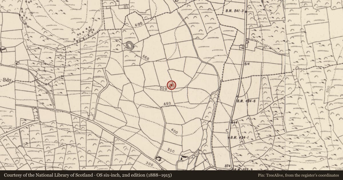Ordnance Survey six-inch map, 2nd edition (1888–1915) covering the location of Ringfort - rath, Ballynaboley, County Kilkenny, with a pin at the register's coordinates