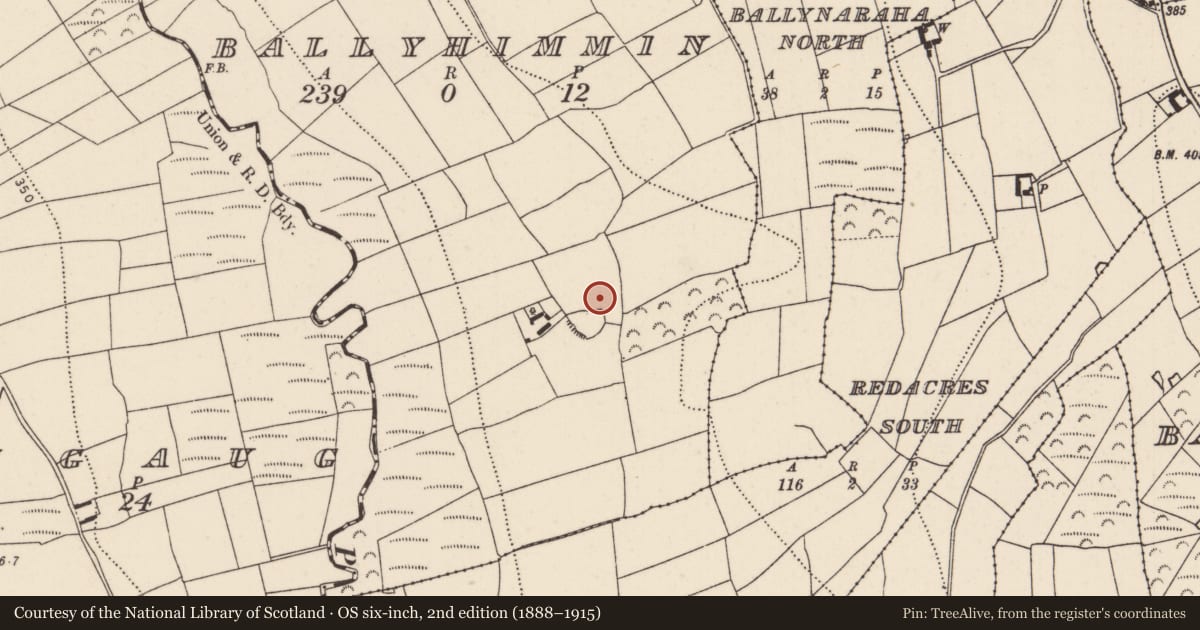 Ordnance Survey six-inch map, 2nd edition (1888–1915) covering the location of Standing stone, Ballyhimmin, County Kilkenny, with a pin at the register's coordinates