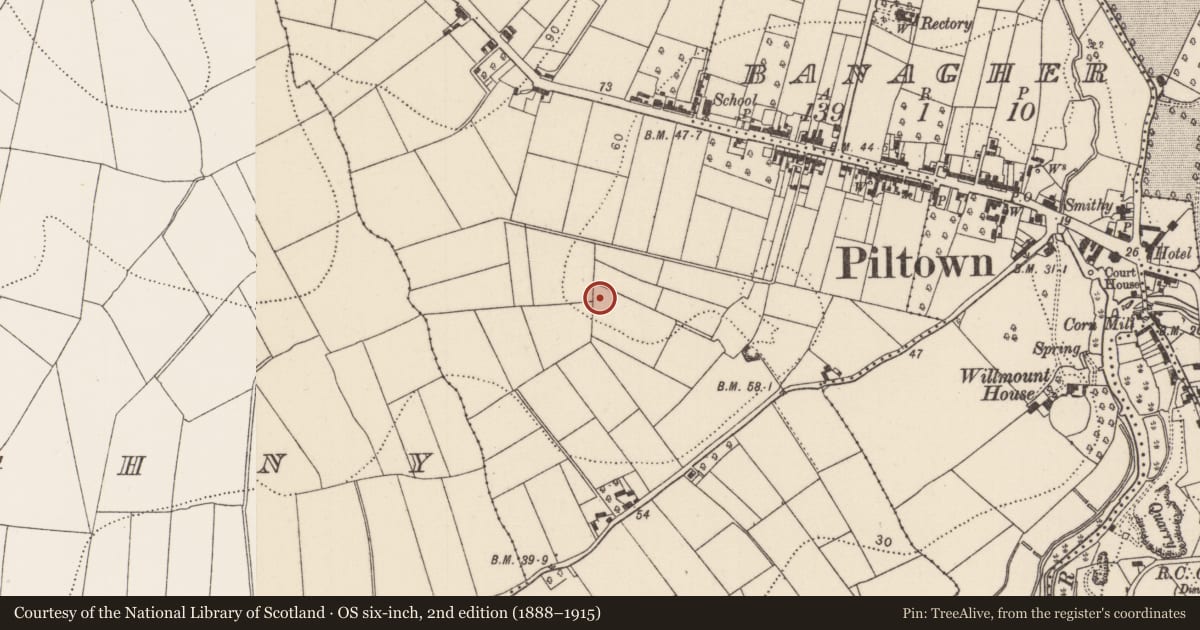 Ordnance Survey six-inch map, 2nd edition (1888–1915) covering the location of Battlefield, County Kilkenny, with a pin at the register's coordinates