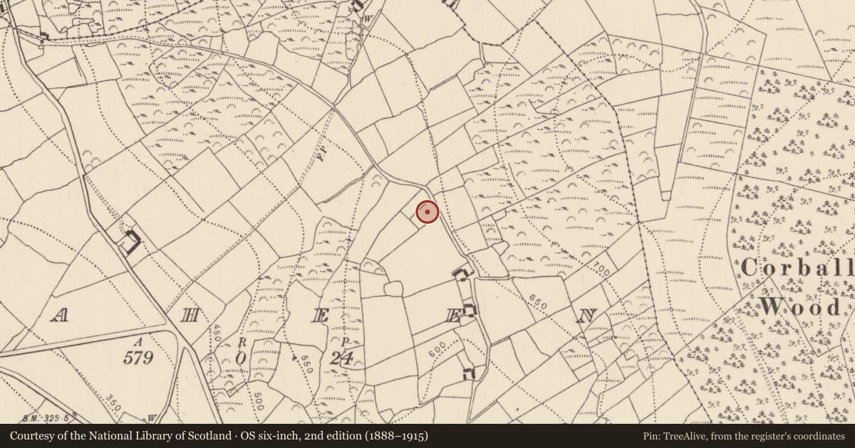 Ordnance Survey six-inch map, 2nd edition (1888–1915) covering the location of Stone circle, Raheen, County Kilkenny, with a pin at the register's coordinates