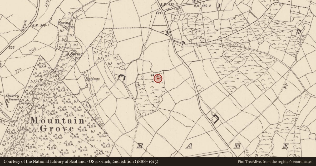 Ordnance Survey six-inch map, 2nd edition (1888–1915) covering the location of Field system, Raheen, County Kilkenny, with a pin at the register's coordinates