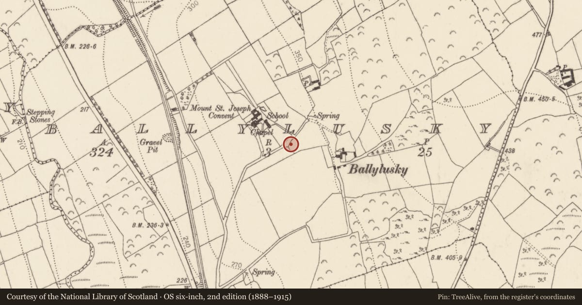 Ordnance Survey six-inch map, 2nd edition (1888–1915) covering the location of Ringfort - rath, Ballylusky, County Kilkenny, with a pin at the register's coordinates