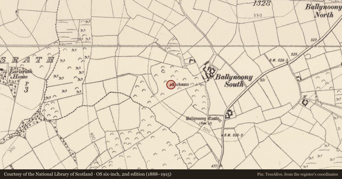 Ordnance Survey six-inch map, 2nd edition (1888–1915) covering the location of Megalithic tomb - unclassified, Ballynoony West, County Kilkenny, with a pin at the register's coordinates