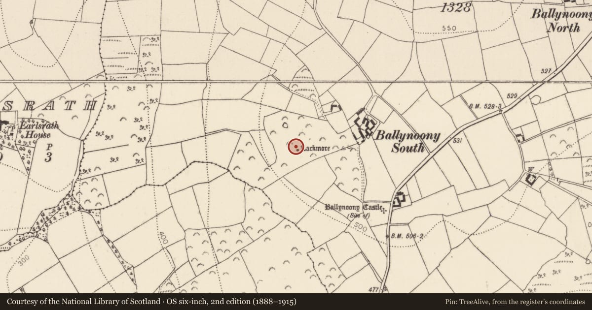 Ordnance Survey six-inch map, 2nd edition (1888–1915) covering the location of Enclosure, Ballynoony West, County Kilkenny, with a pin at the register's coordinates