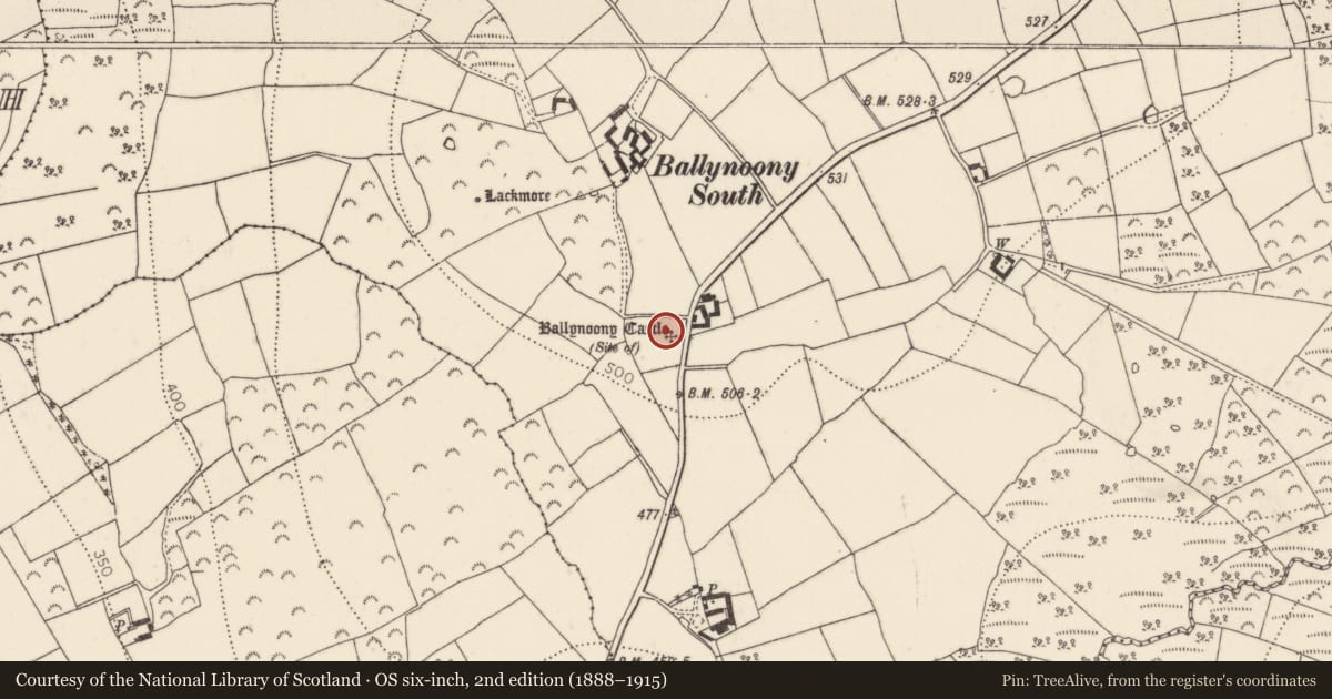 Ordnance Survey six-inch map, 2nd edition (1888–1915) covering the location of Castle - unclassified, Ballynoony West, County Kilkenny, with a pin at the register's coordinates