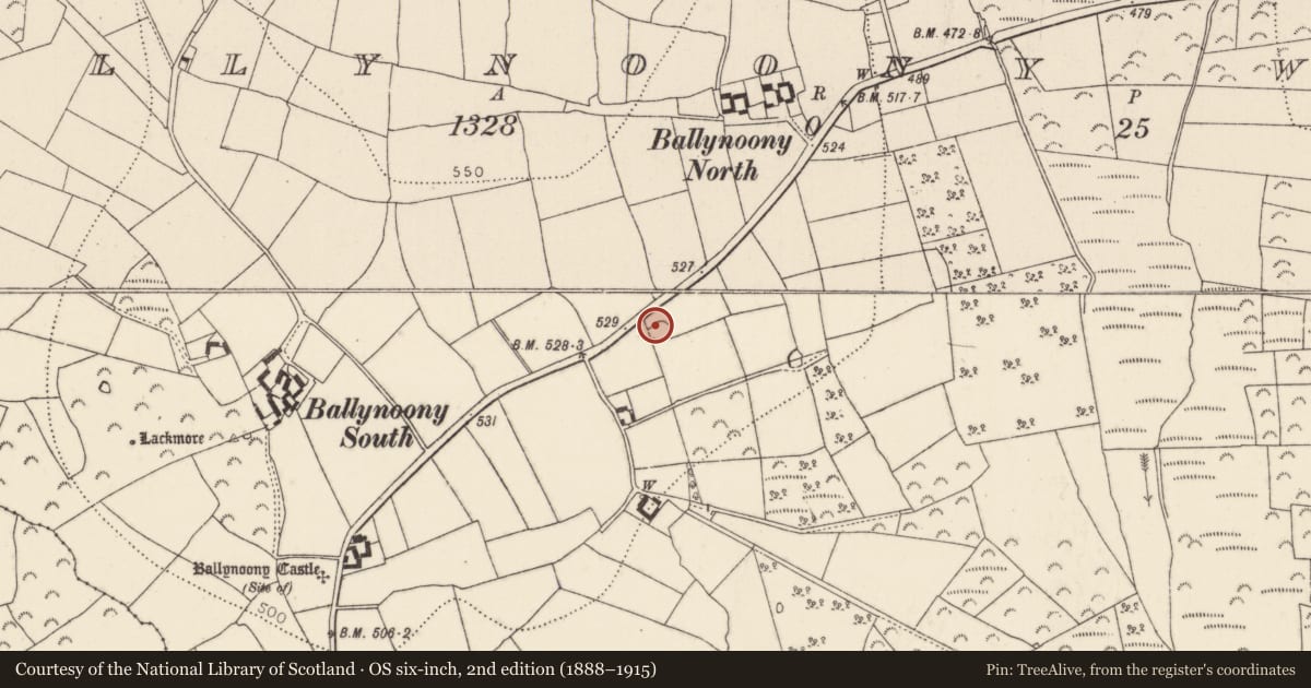 Ordnance Survey six-inch map, 2nd edition (1888–1915) covering the location of Ringfort - rath, Ballynoony West, County Kilkenny, with a pin at the register's coordinates