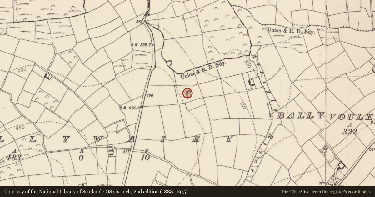 Ordnance Survey six-inch map, 2nd edition (1888–1915) covering the location of Ringfort - rath, Ballywairy, County Kilkenny, with a pin at the register's coordinates