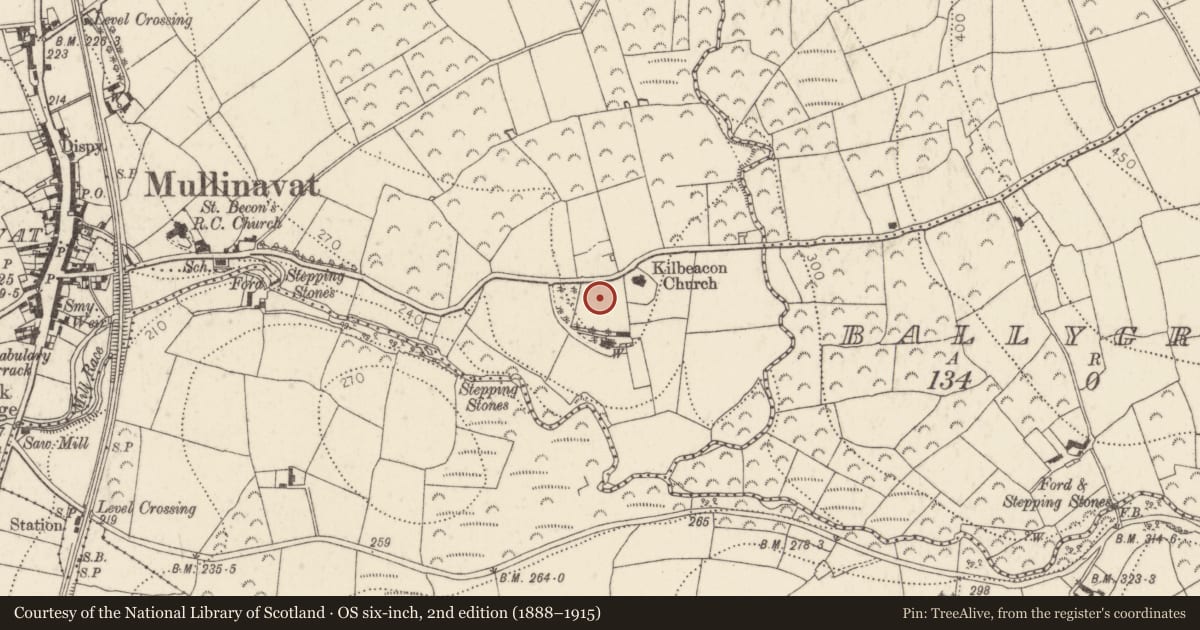 Ordnance Survey six-inch map, 2nd edition (1888–1915) covering the location of Enclosure, Garrandarragh, County Kilkenny, with a pin at the register's coordinates