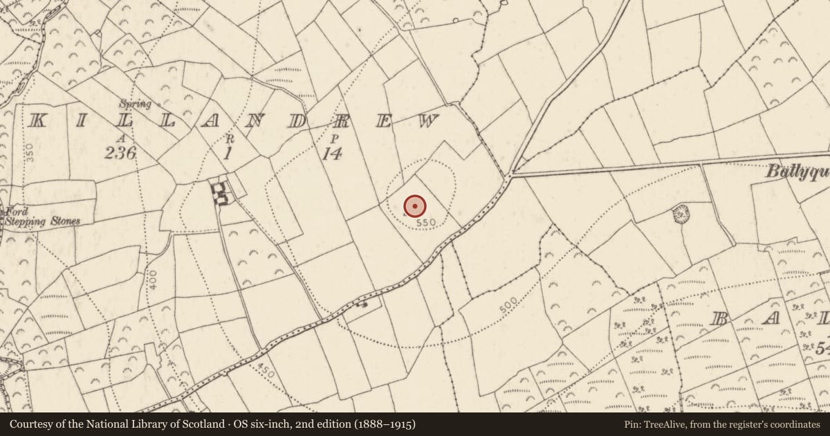 Ordnance Survey six-inch map, 2nd edition (1888–1915) covering the location of Ringfort - unclassified, Killandrew, County Kilkenny, with a pin at the register's coordinates
