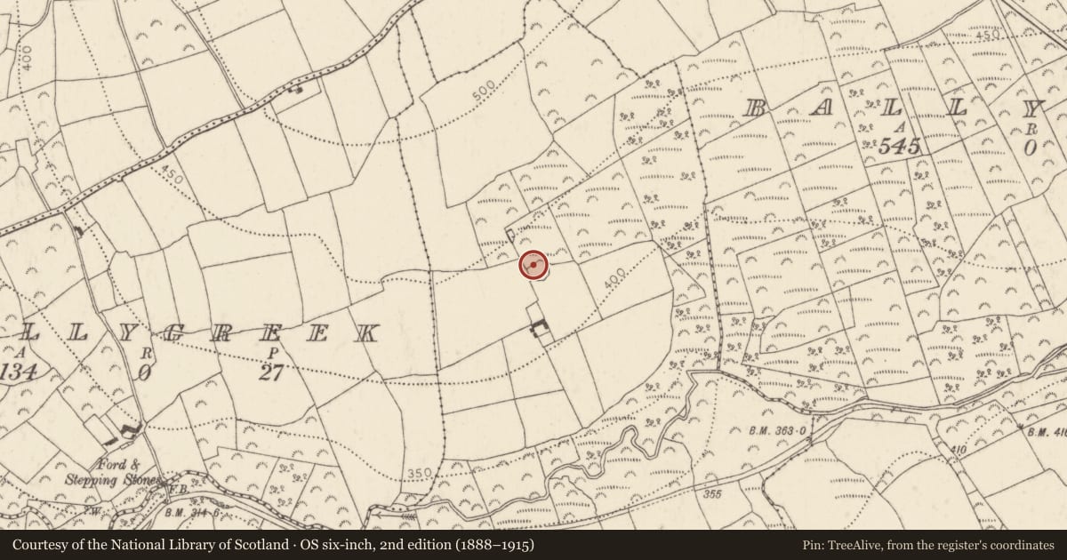 Ordnance Survey six-inch map, 2nd edition (1888–1915) covering the location of Ringfort - rath, Ballynakill, County Kilkenny, with a pin at the register's coordinates