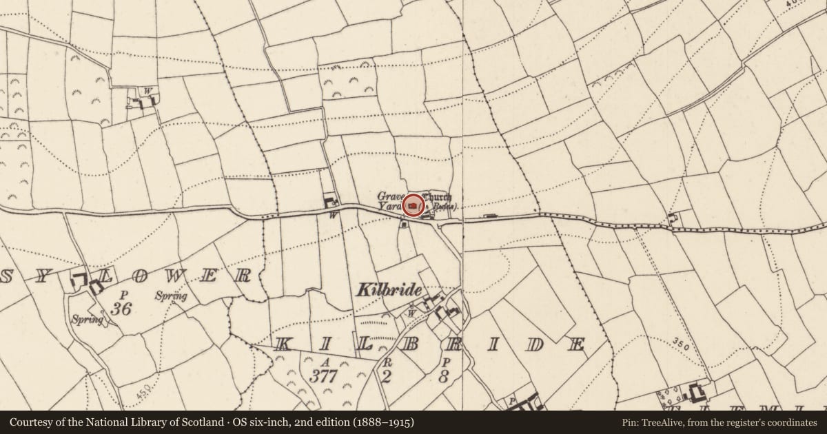 Ordnance Survey six-inch map, 2nd edition (1888–1915) covering the location of Graveslab, Kilbride, County Kilkenny, with a pin at the register's coordinates