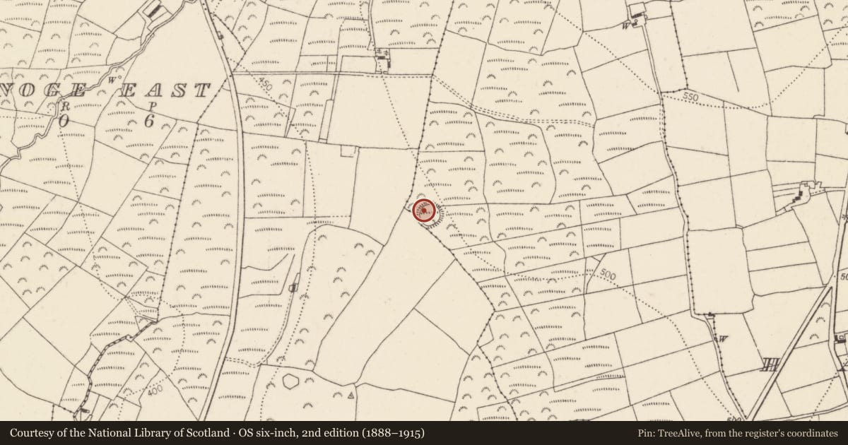 Ordnance Survey six-inch map, 2nd edition (1888–1915) covering the location of Ringfort - rath, Ballinlammy, County Kilkenny, with a pin at the register's coordinates