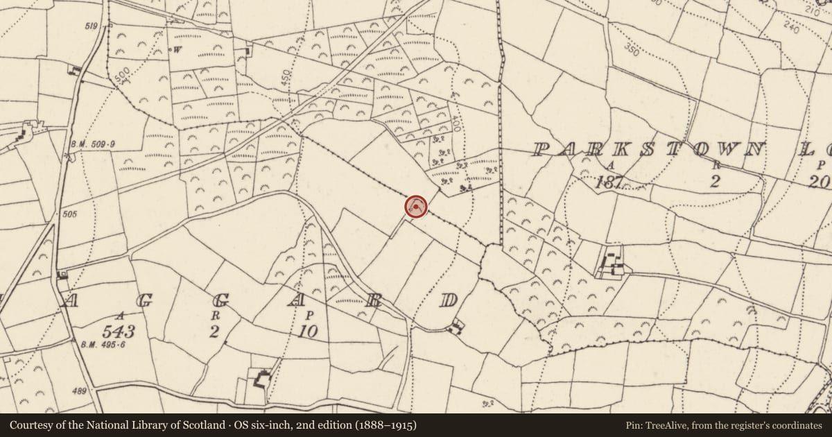 Ordnance Survey six-inch map, 2nd edition (1888–1915) covering the location of Ringfort - unclassified, Haggard, County Kilkenny, with a pin at the register's coordinates